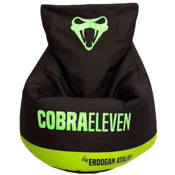 RetrogeR - CobraEleven Produkte